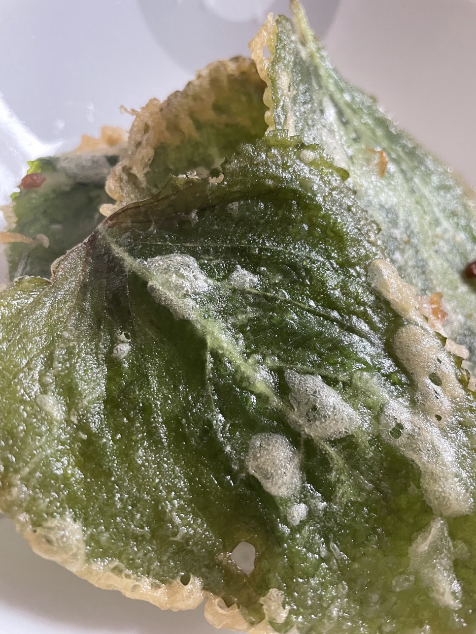 한중여유(주) 이미지