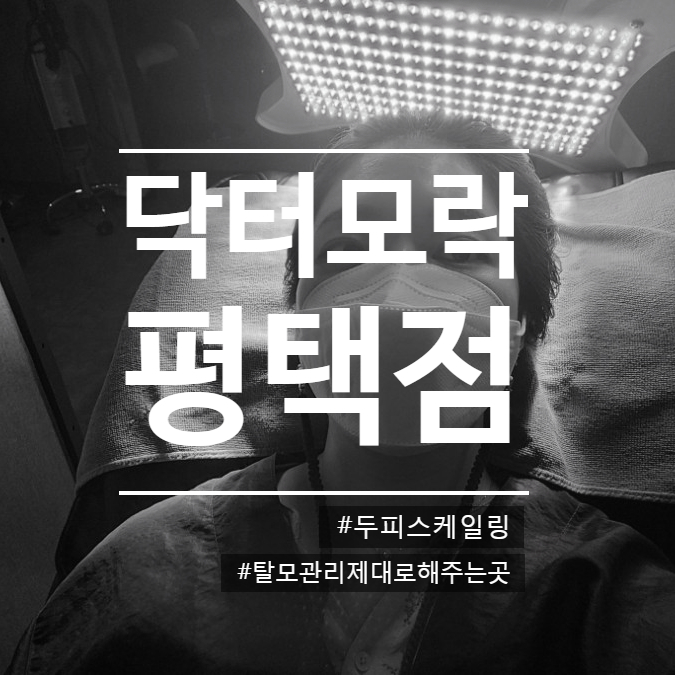 닥터모락 평택점 이미지