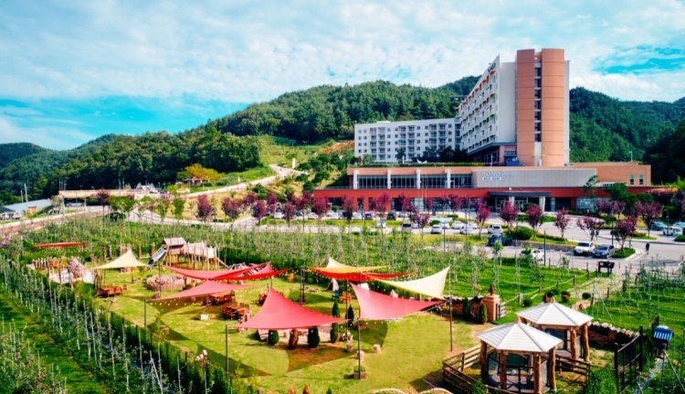 강산회원권거래소 이미지