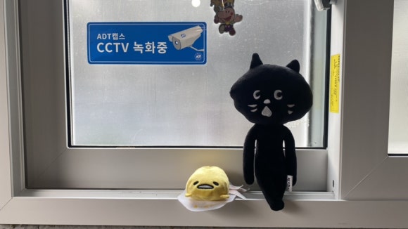 띠용마켓 이미지
