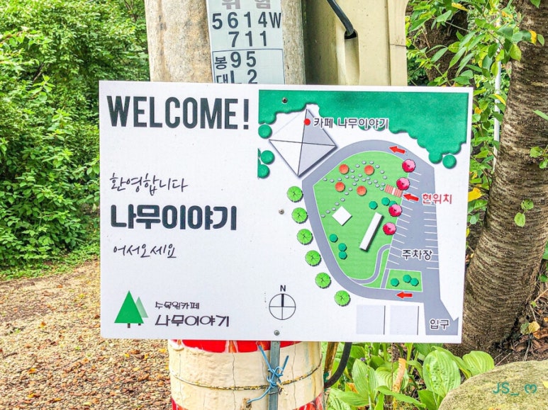 올리앤&나무 이미지