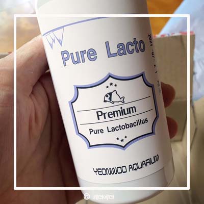 아쿠아pure 이미지