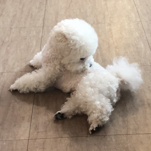 상주건어물 이미지
