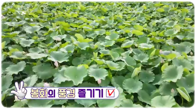 보양각 이미지