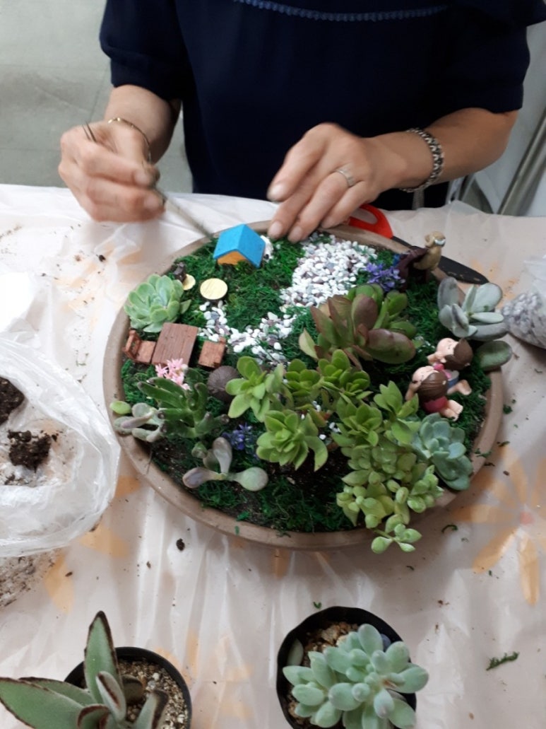 인천다육 이미지