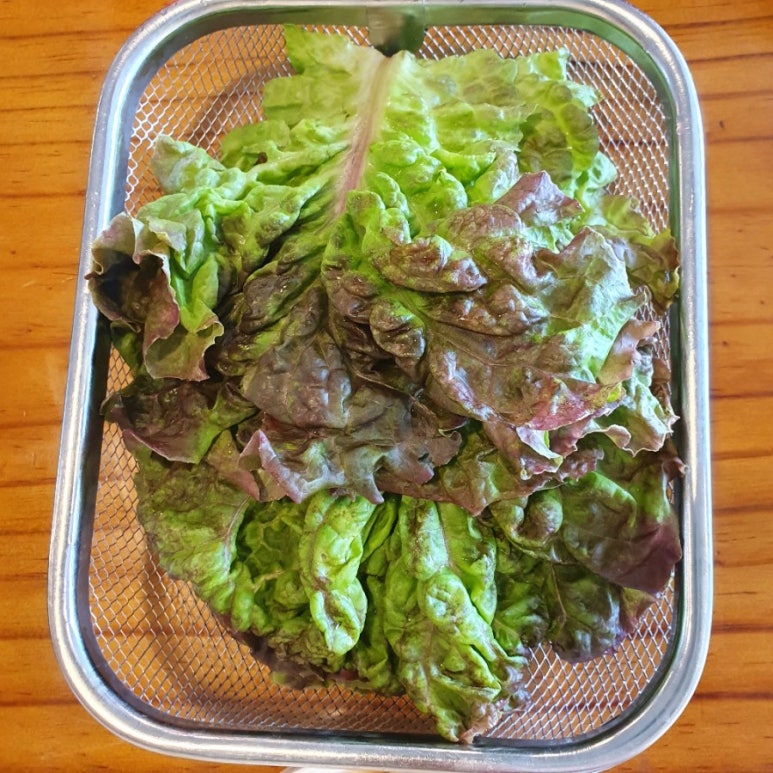 소판돈 이미지