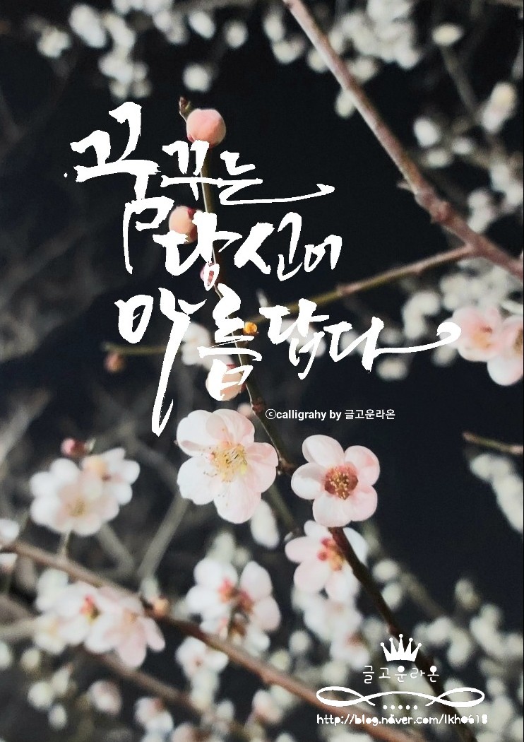 글라온캘리그라피 이미지
