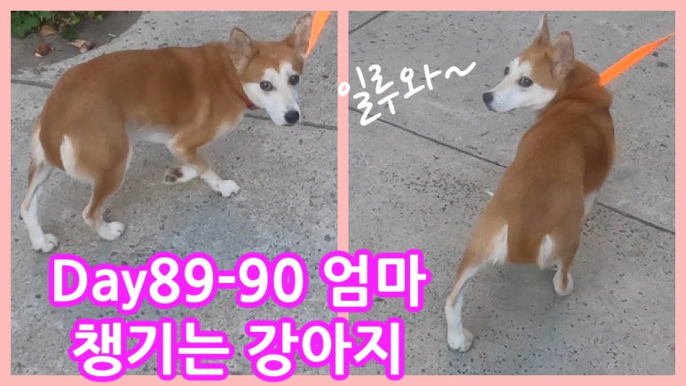 채널-89 이미지