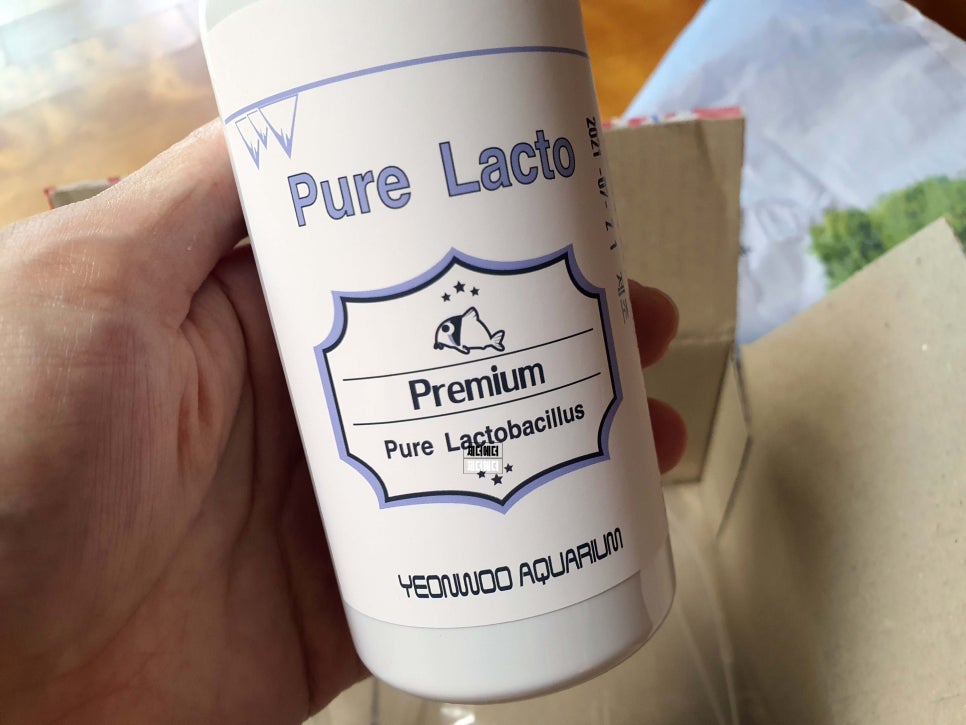 아쿠아pure 이미지