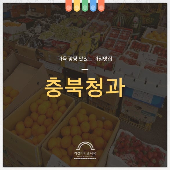 충북청과 이미지