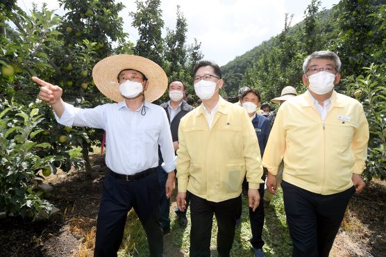 능금축산 이미지