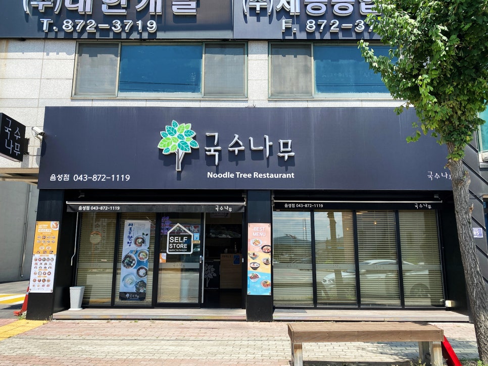 국수나무음성 이미지