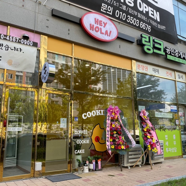 헤이올라 이미지