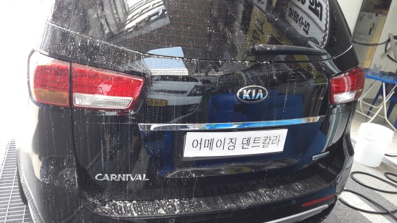 하이덴트칼라 이미지
