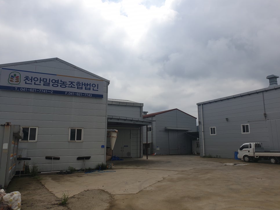 우리밀우밀칼국수 이미지