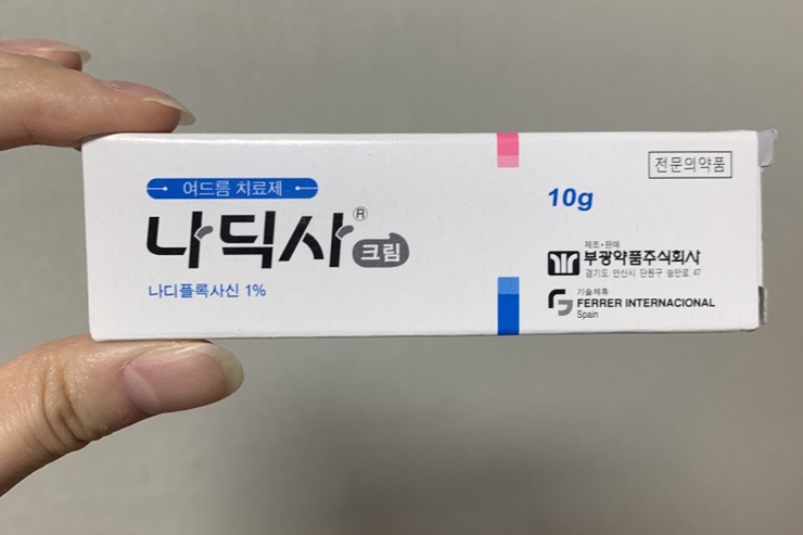 와이이엘 이미지