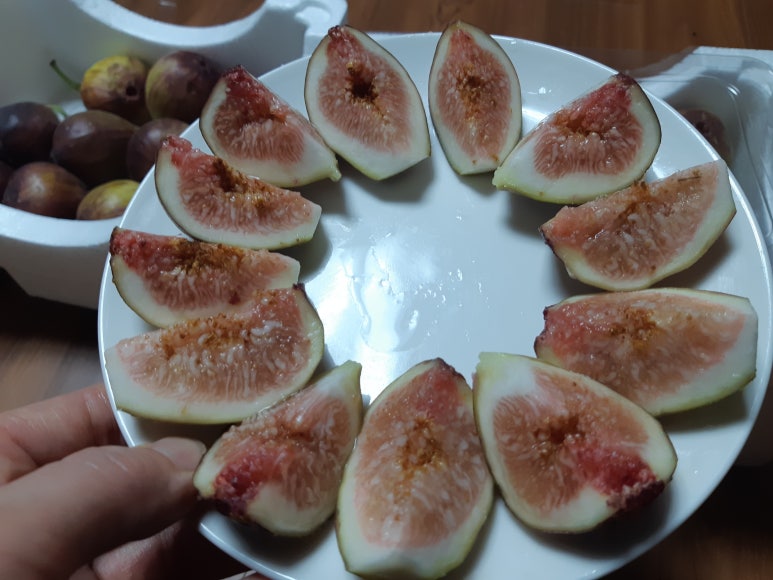 힐리푸드 이미지