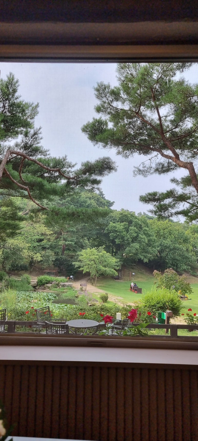 파파스브로트 이미지