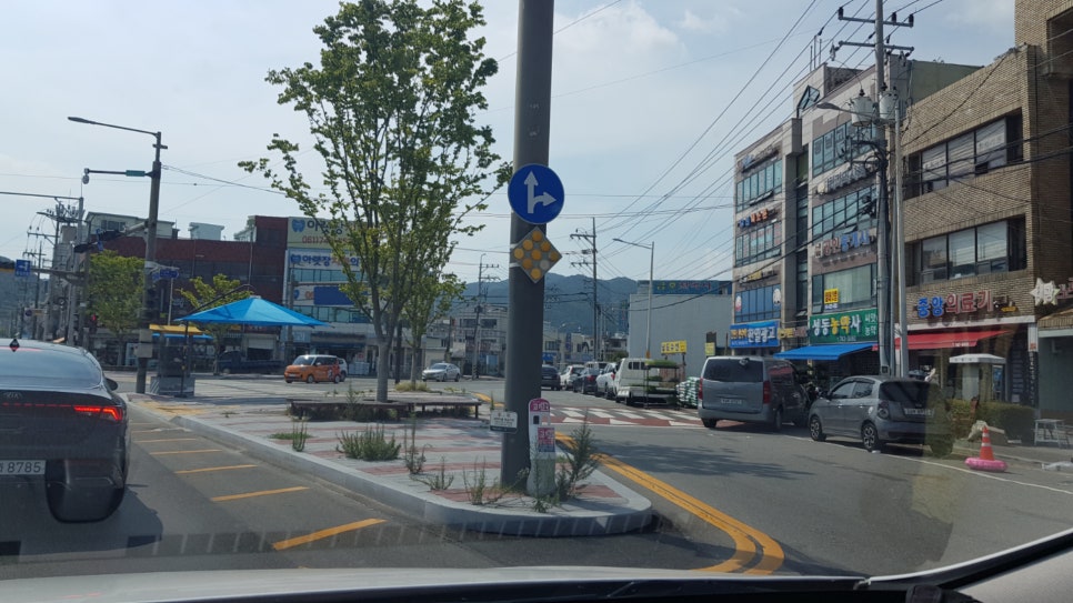 아랫장치과 이미지