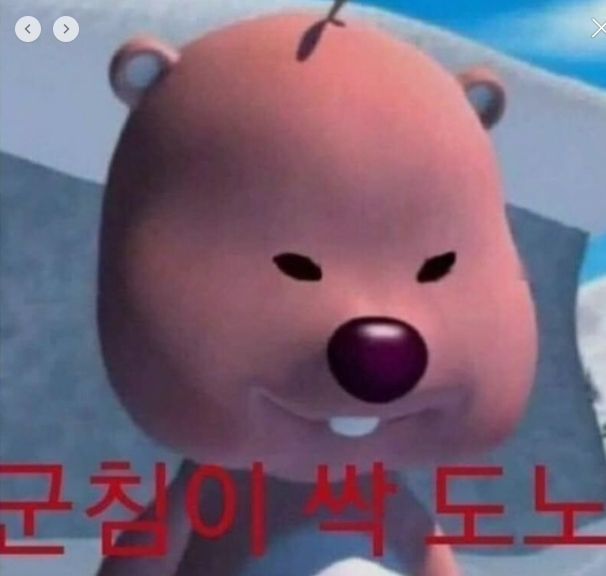브리지선데이 이미지