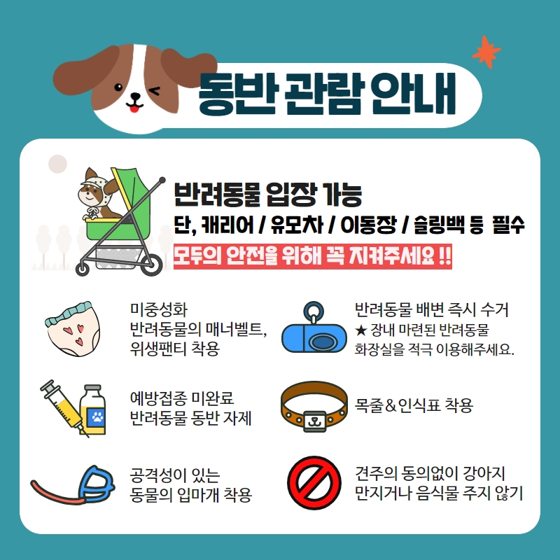 케이큐어 이미지