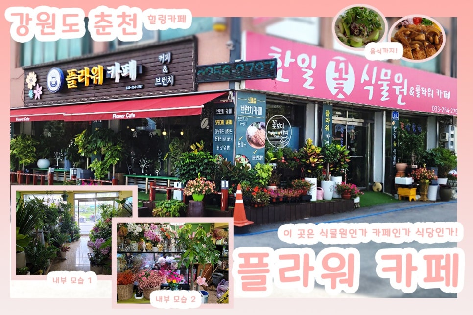 한일꽃식물원 이미지