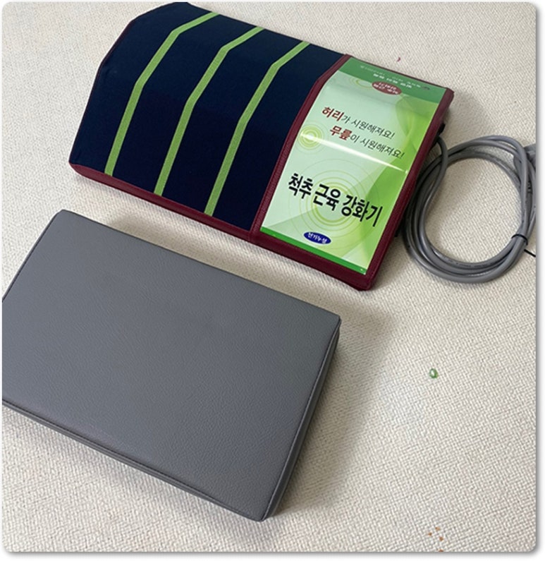 척추근육강화기 이미지