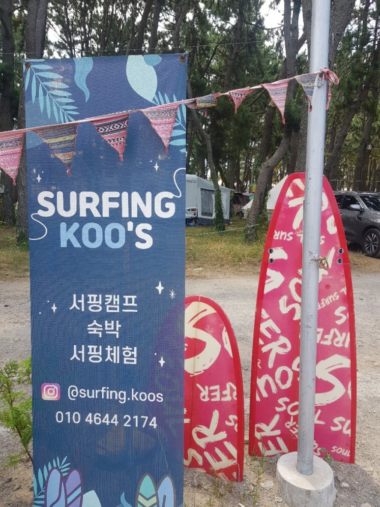 서핑쿠스 이미지