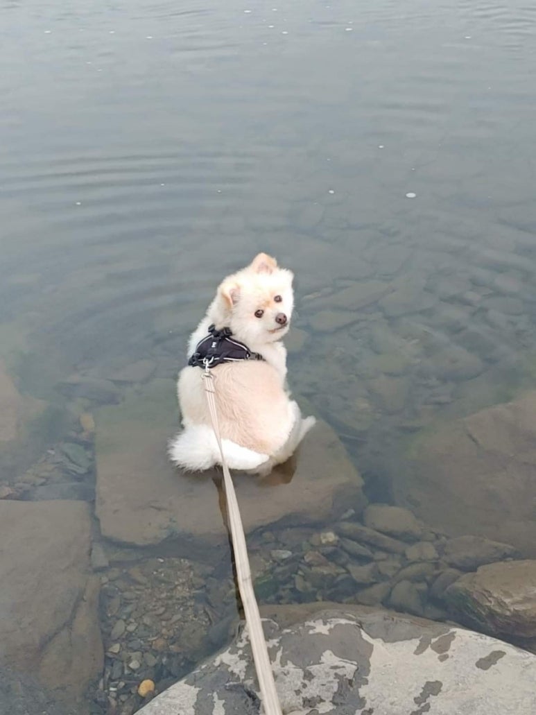 설렘 이미지