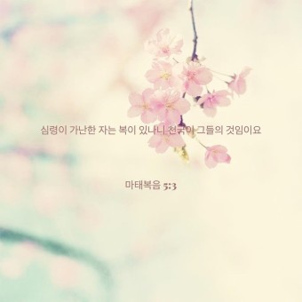 에클레시아 이미지