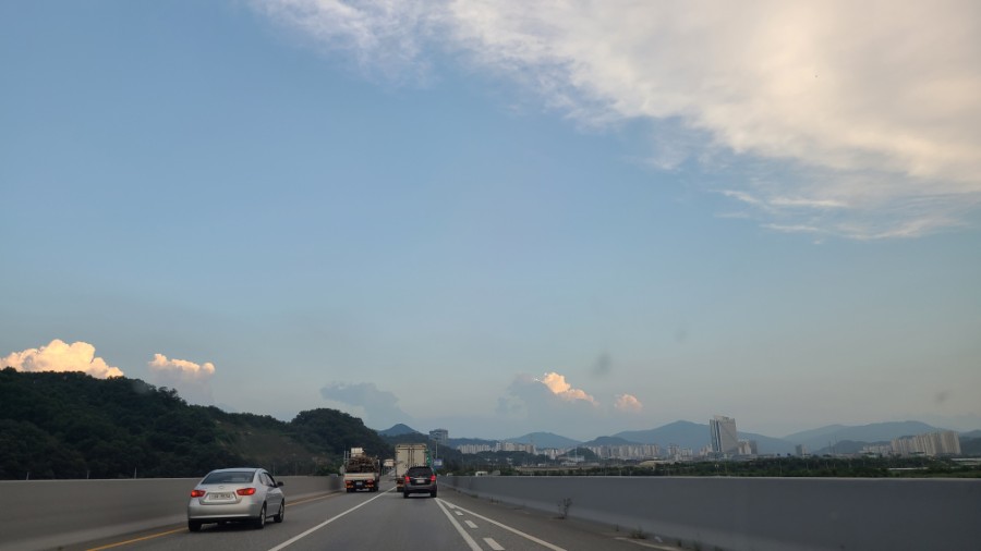 정직양봉 이미지