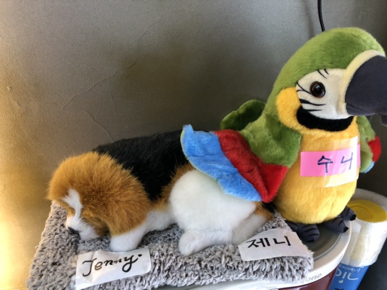 대니헤어 이미지