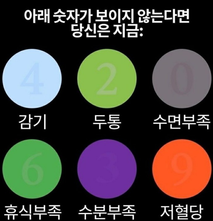 베스트롤 이미지