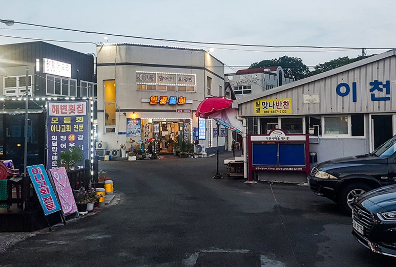 일광물회 이미지