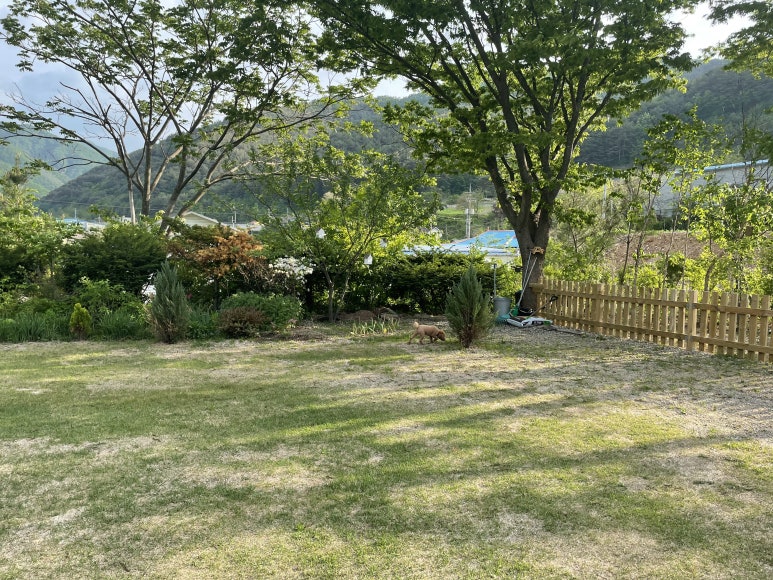 메종카누네 이미지