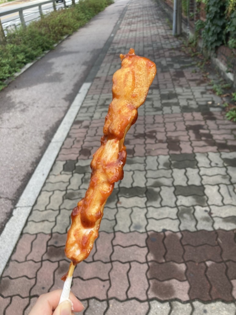 꼬치리아 이미지