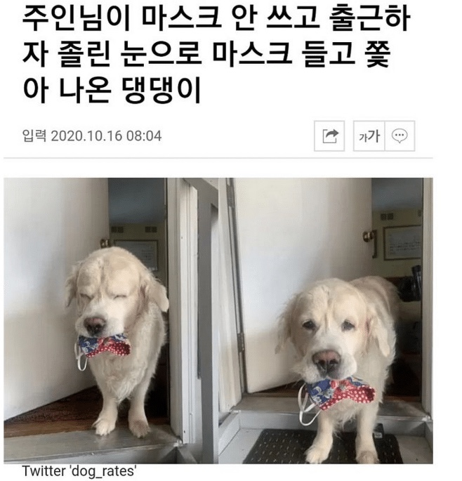 없음 이미지