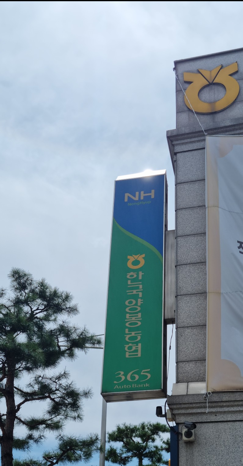 네츄럴100허니카페 이미지