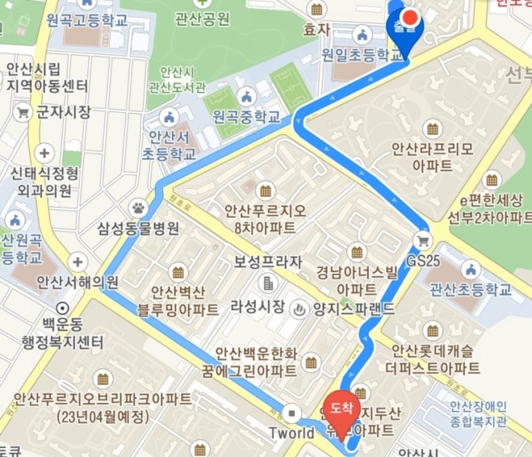 다니엘사 이미지