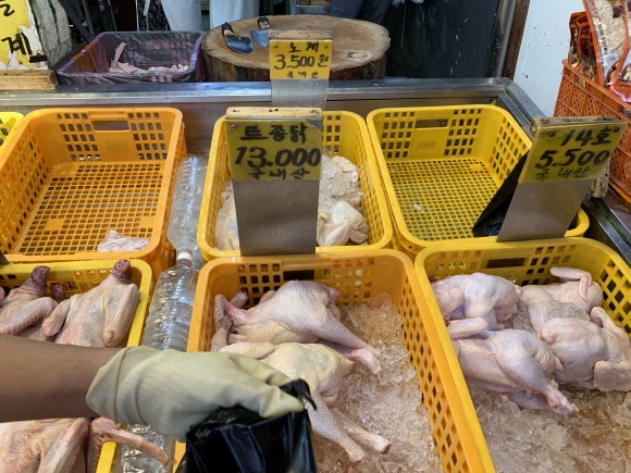 (주)한영디엔씨 이미지