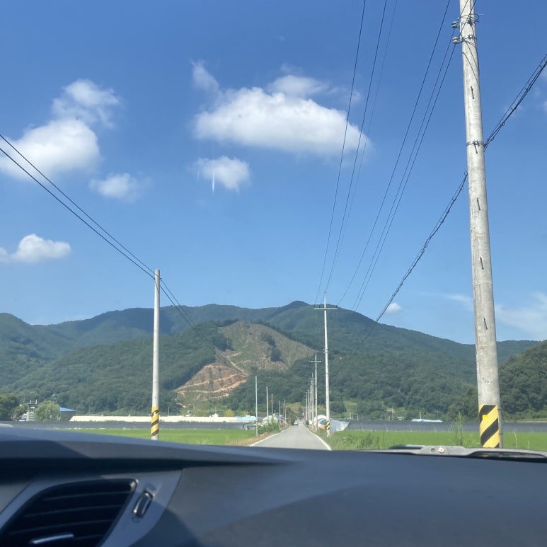 삼일농원 이미지
