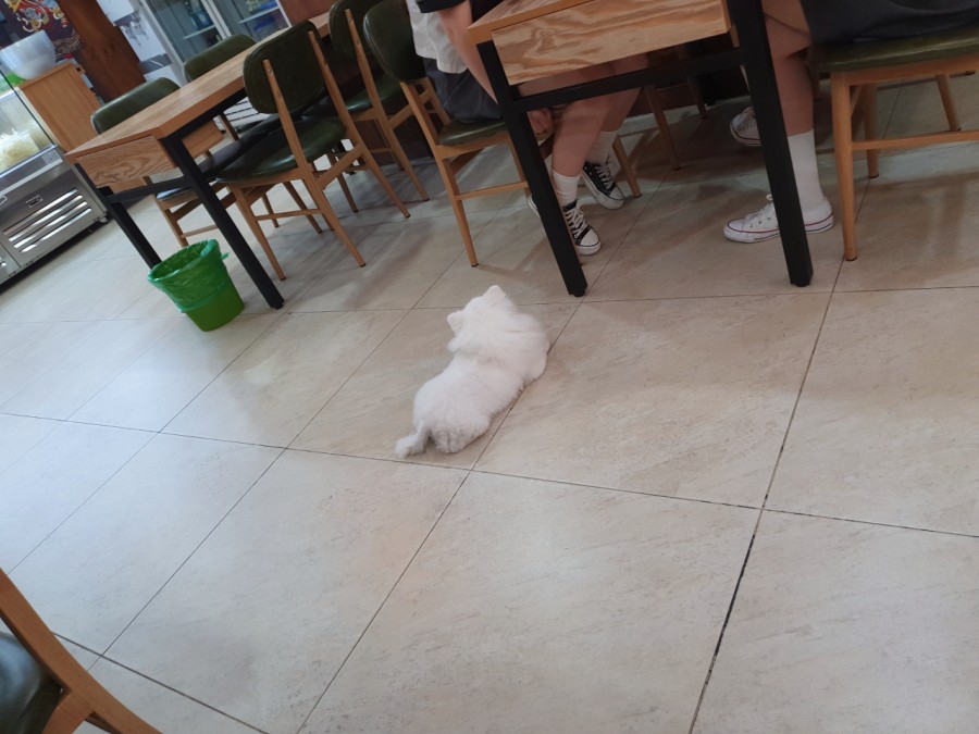 마라무적 이미지