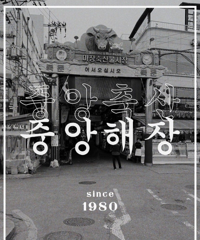 디자인싱 이미지
