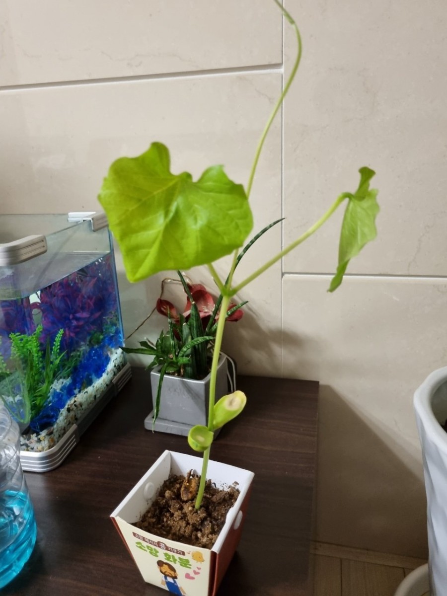 키스당구장 이미지