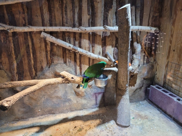 오마카페 이미지