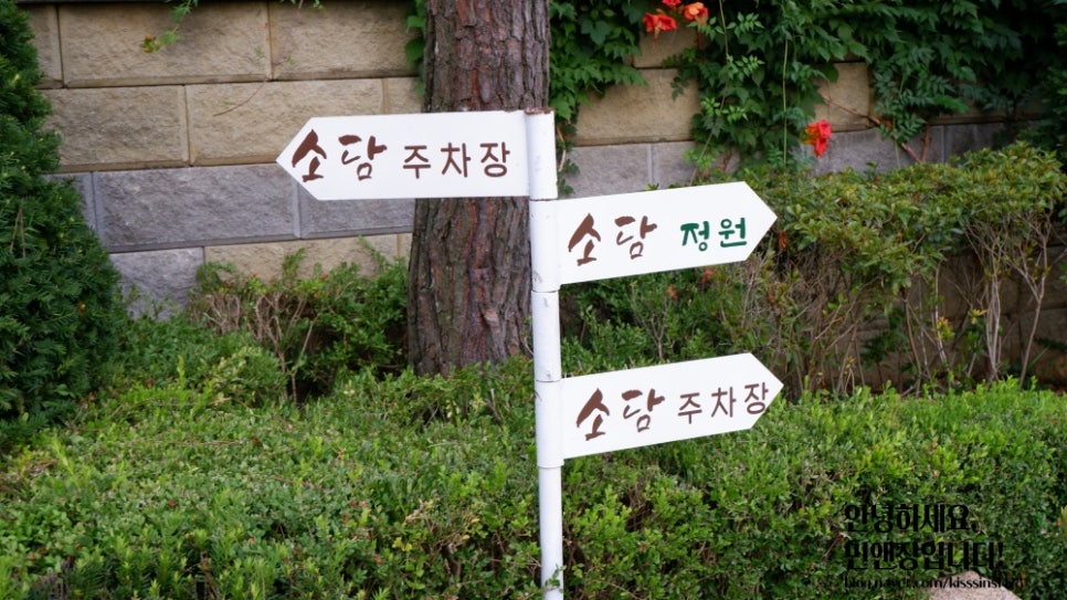 소담밥상 이미지