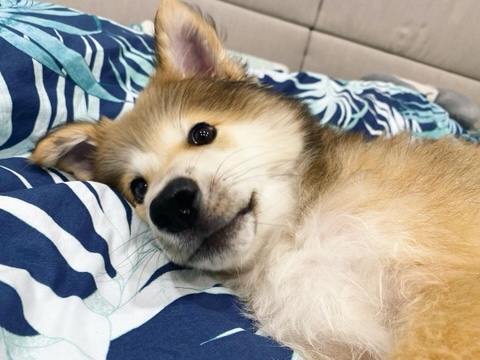 (주)제나 이미지