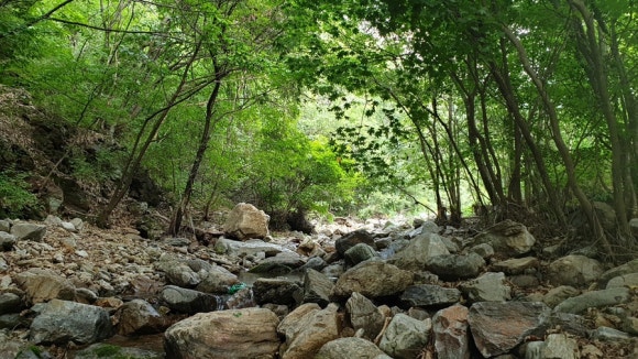 호명산캠프 이미지