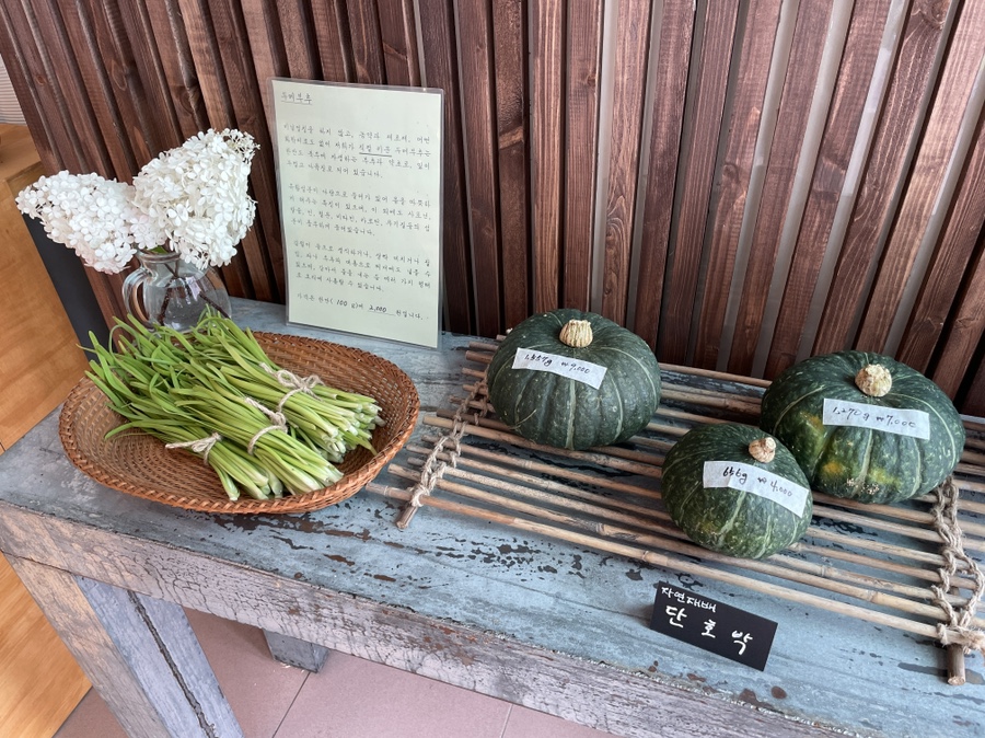 콩보다조 이미지