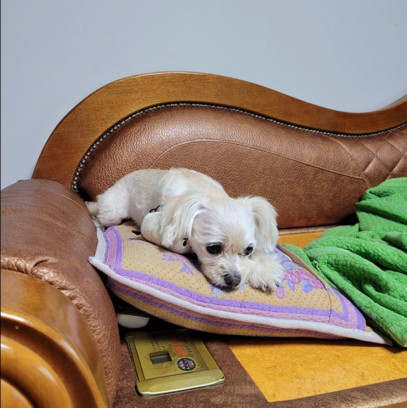웰컴돈.막.곰 이미지